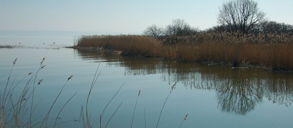Krynica Morska, une ville située sur la presqu'île de la Vistule - Sputnik Afrique