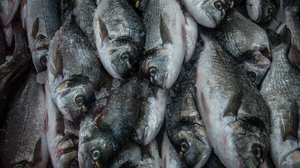 La Guinée-Bissau suspend la pêche industrielle pour un mois