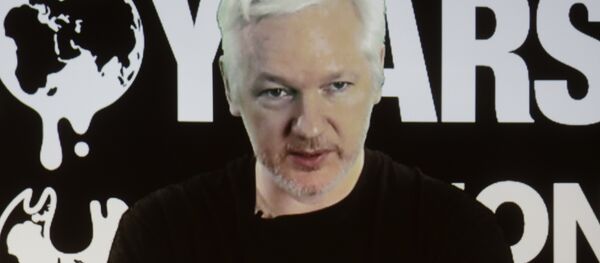 Fondateur du projet WikiLeaks Julian Assange - Sputnik Afrique