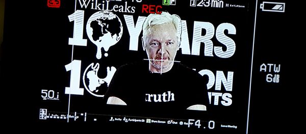 Julian Assange - Sputnik Afrique