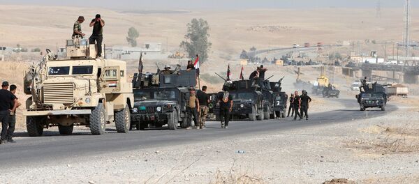 Iraqi security forces gather on the outskirt of Bartila, east of Mosul during an operation to attack Islamic State militants in Mosul, Iraq, October 19, 2016. REUTERS/Azad Lashkari - Sputnik Afrique