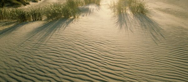 Sable (image d'illustration) - Sputnik Afrique