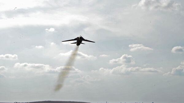 L'avion MiG-23 de l'armée de l'air syrienne - Sputnik Afrique