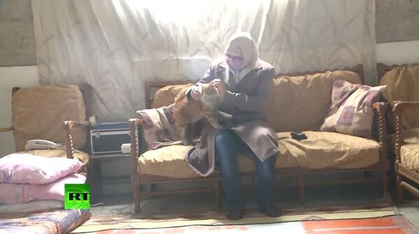 Aminour  - Sputnik Afrique