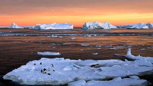 Des scientifiques découvrent la nature des fissures géantes en Antarctique - Sputnik Afrique