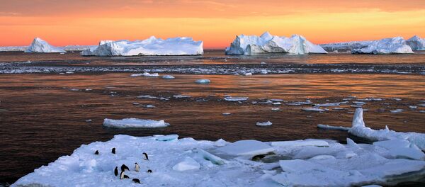 Des scientifiques découvrent la nature des fissures géantes en Antarctique - Sputnik Afrique