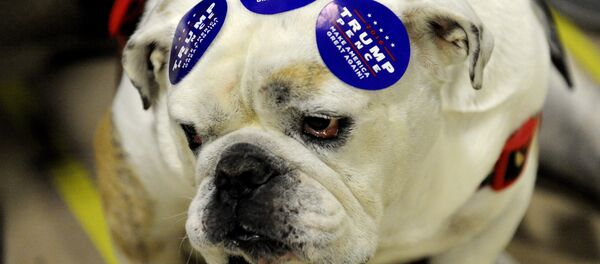 stickers stickers - Sputnik Afrique