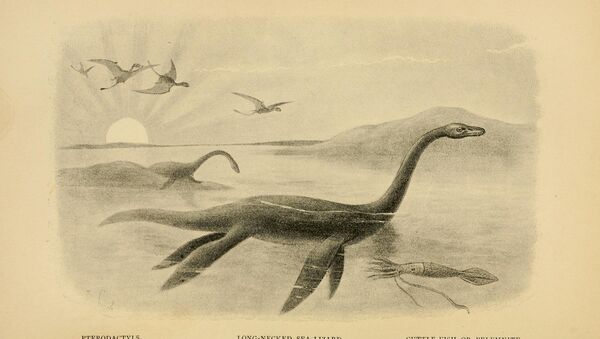 Monstre du Loch Ness - Sputnik Afrique