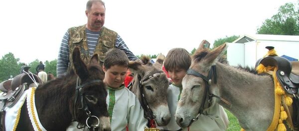 Le quotidien dans la première ferme d'ânes du Kamtchatka - Sputnik Afrique