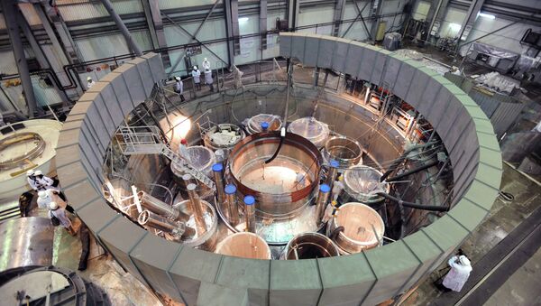 L'assemblage du réacteur BN-800 à Beloïarsk - Sputnik Afrique