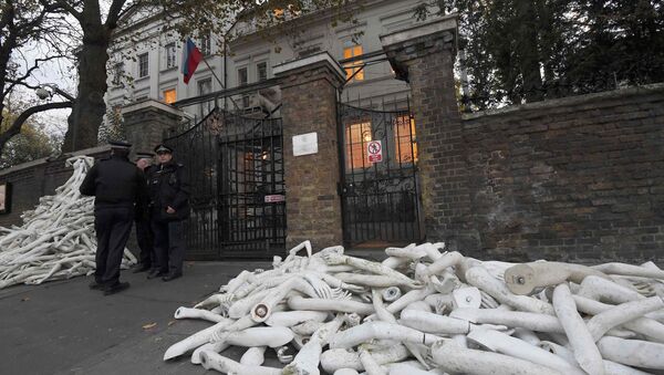 Nouvelles manifestations devant l'ambassade russe à Londres - Sputnik Afrique