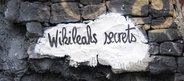 Wikileaks - Sputnik Afrique