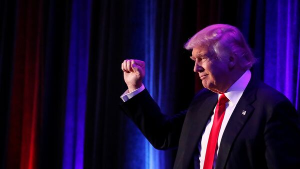 Donald Trump élu président des Etats-Unis - Sputnik Afrique