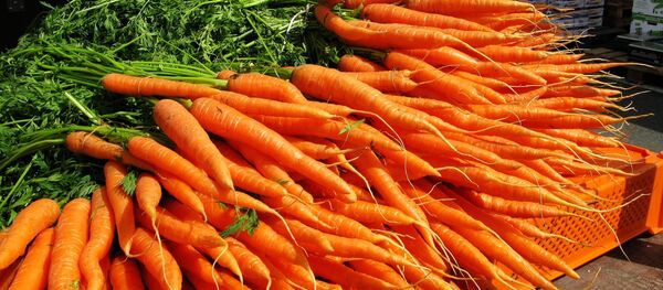 Karotten Karotten - Sputnik Afrique