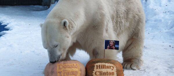 Félix, prohète de Krasnoyarsk - Sputnik Afrique