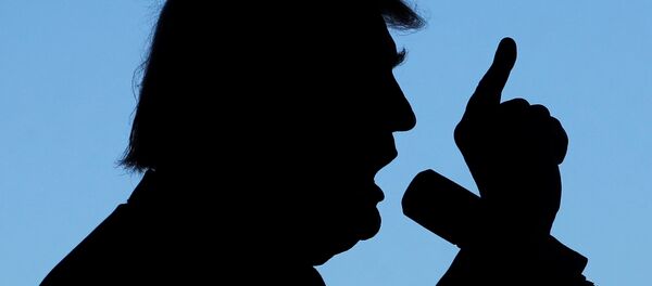 Republican presidential nominee Donald Trump holds a campaign rally in Grand Junction, Colorado, US October 18, 2016. - Sputnik Afrique