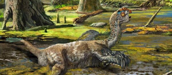 Une nouvelle espèce de dinosaure identifiée en Chine Une nouvelle espèce de dinosaure identifiée en Chine - Sputnik Afrique