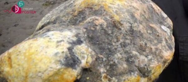 Ambre gris - Sputnik Afrique