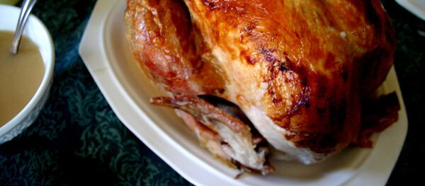 Dinde - Sputnik Afrique