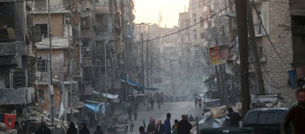 Alep - Sputnik Afrique