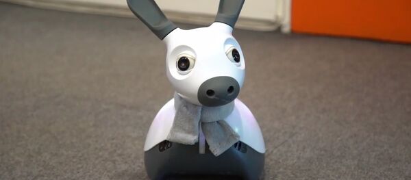 Ce chien-robot britannique qui sait penser et se réjouir - Sputnik Afrique