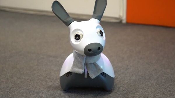 Ce chien-robot britannique qui sait penser et se réjouir - Sputnik Afrique