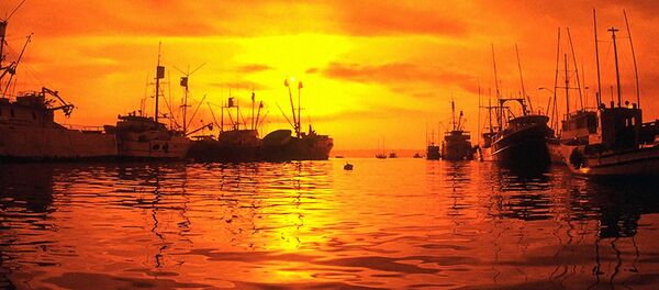 Les beautés de Russie. Les îles Kouriles. Les beautés de Russie. Les îles Kouriles. - Sputnik Afrique