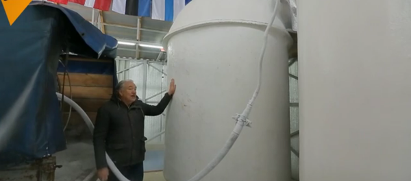 Cryogénisation: y a-t-il une vie après? - Sputnik Afrique