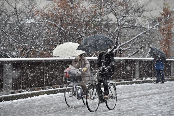 De la neige en novembre au Japon! - Sputnik Afrique
