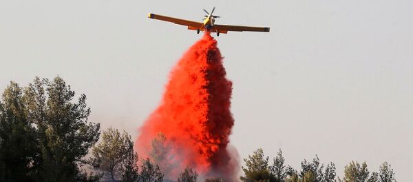 A firefighting plane drops fire retardant during a wildfire, near the communal settlement of Nataf, close to Jerusalem November 23, 2016. Picture taken November 23, 2016. - Sputnik Afrique