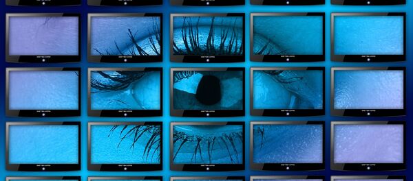 Surveillance - Sputnik Afrique