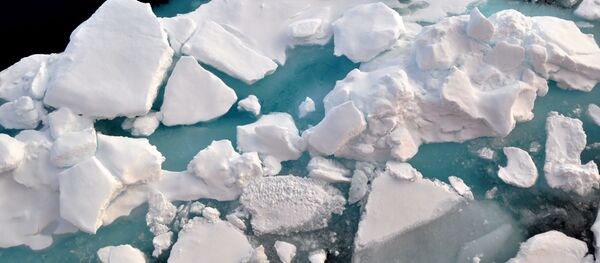 l’océan glacial Arctique - Sputnik Afrique