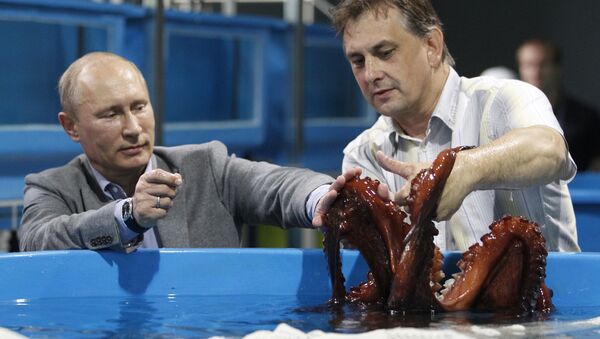 President Vladimir Putin (left) visiting the Primorye Oceanarium Research and Educational Center in the Russky Island, Vladivostok, the venue of the 2012 APEC Leaders' Week, September 6, 2012 - Sputnik Afrique