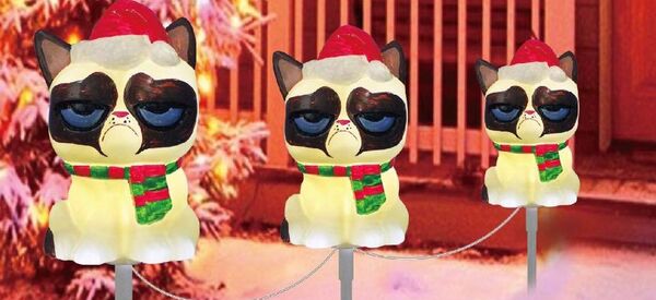 chat grincheux - Sputnik Afrique