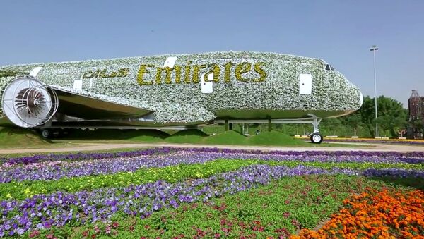 Dubaï, s’offre le record du monde du site le plus fleuri - Sputnik Afrique