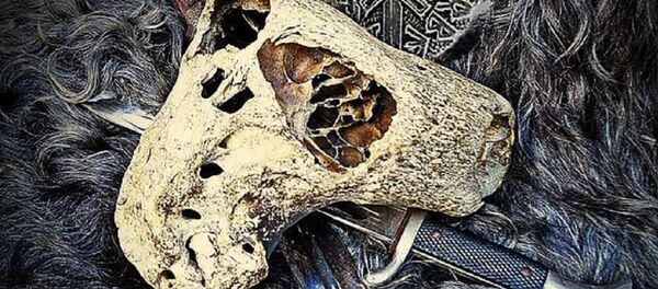 Außerirdische Knochen? - Sputnik Afrique