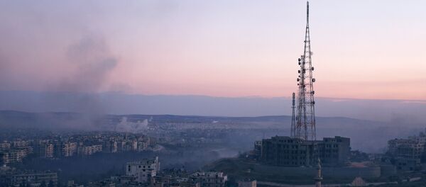 Alep - Sputnik Afrique