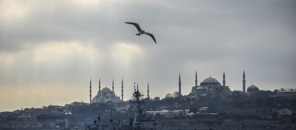 The USS Truxtun destroyer passes the Bosphorus Strait on March 7, 2014. - Sputnik Afrique