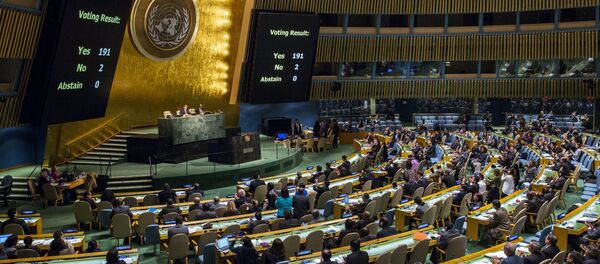 Assemblée générale des Nations unies - Sputnik Afrique