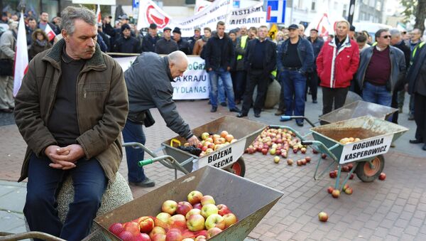 Polish farmers and horticulturists protest in Warsaw - Sputnik Afrique