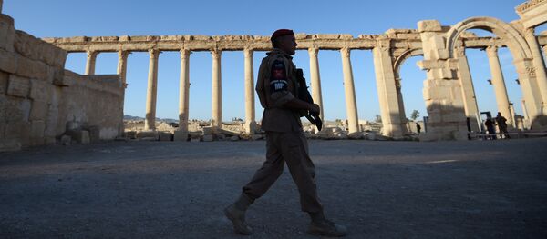Palmyre - Sputnik Afrique