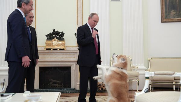 Vladimir Poutine et sa chienne préférée Ioumé - Sputnik Afrique