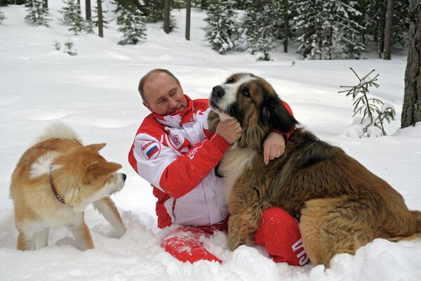 Vladimir Poutine et ses chiens - Sputnik Afrique