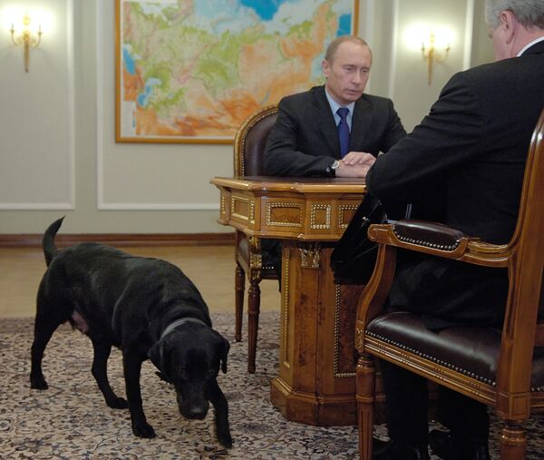 Vladimir Poutine et ses chiens - Sputnik Afrique