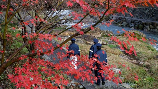 Colored leaves are seen as police officers stand guard near a hot spring resort, the venue of the summit meeting between Japanese Prime Minister Shinzo Abe and Russian President Vladimir Putin, in Nagato, Yamaguchi prefecture, Japan, December 15, 2016. - Sputnik Afrique