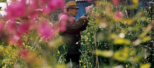 jardin   - Sputnik Afrique