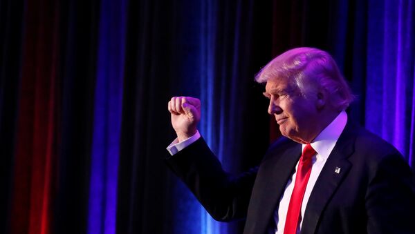 Donald Trump, el ganador de las elecciones presidenciales en EEUU - Sputnik Afrique