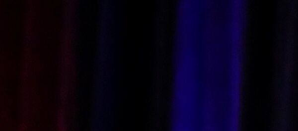 Donald Trump, el ganador de las elecciones presidenciales en EEUU Donald Trump, el ganador de las elecciones presidenciales en EEUU - Sputnik Afrique