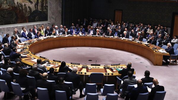 Security Council - Sputnik Afrique