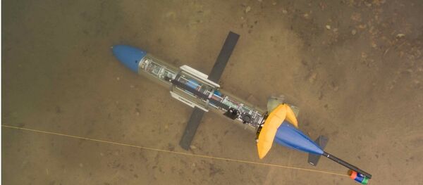 Подводный глайдер - Sputnik Afrique